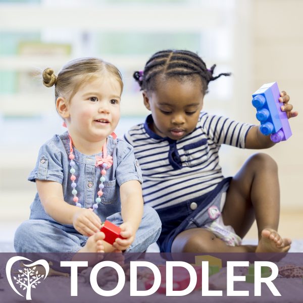 Toddler Membership Lynchburg Dental Plan